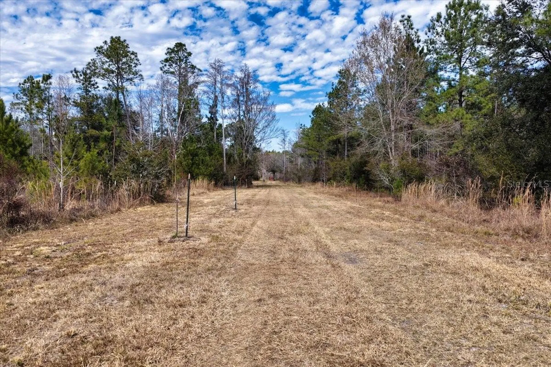 60 Acres NW Clyatt Road Chiefland FL 32626