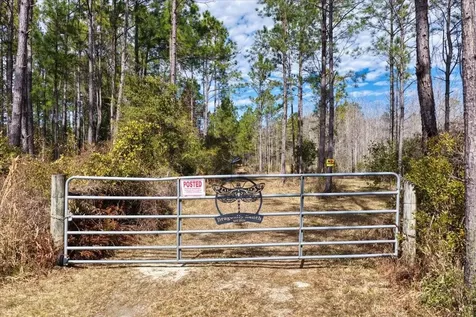 60 Acres NW Clyatt Road Chiefland FL 32626