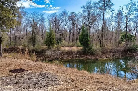 60 Acres NW Clyatt Road Chiefland FL 32626