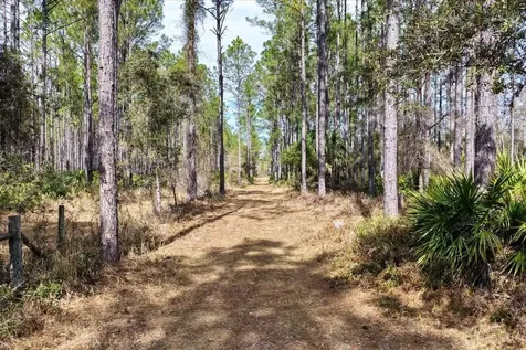 60 Acres NW Clyatt Road Chiefland FL 32626