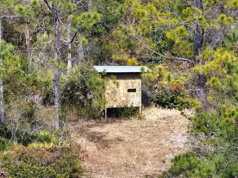 60 Acres NW Clyatt Road Chiefland FL 32626