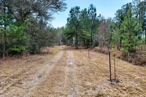 60 Acres NW Clyatt Road Chiefland FL 32626
