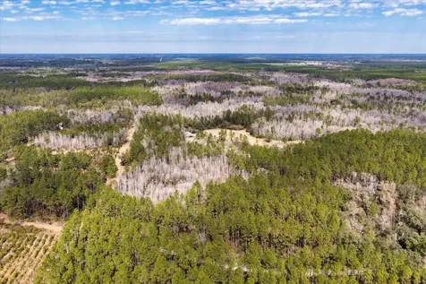 60 Acres NW Clyatt Road Chiefland FL 32626