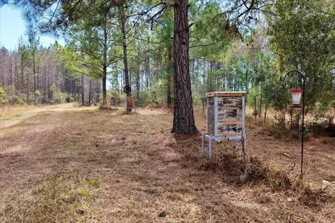 60 Acres NW Clyatt Road Chiefland FL 32626