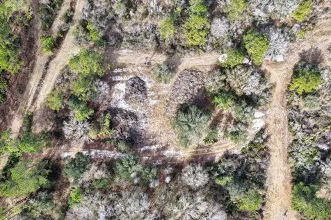 60 Acres NW Clyatt Road Chiefland FL 32626