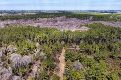 60 Acres NW Clyatt Road Chiefland FL 32626