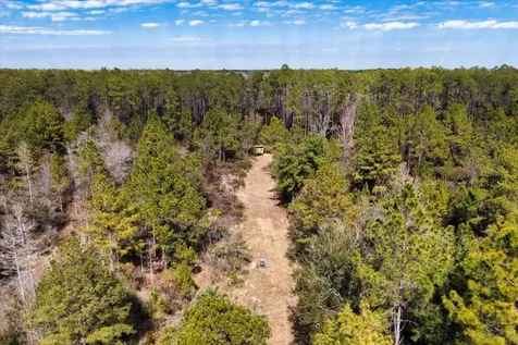 60 Acres NW Clyatt Road Chiefland FL 32626