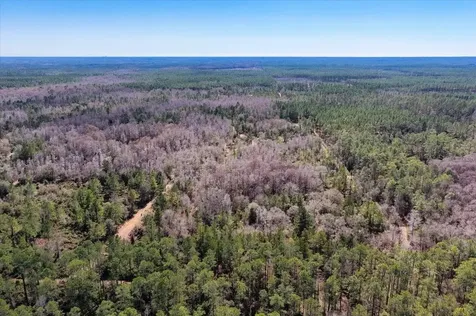 60 Acres NW Clyatt Road Chiefland FL 32626