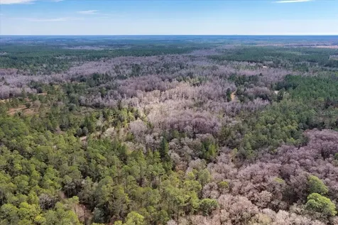 60 Acres NW Clyatt Road Chiefland FL 32626