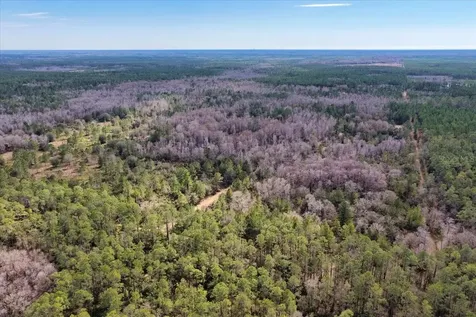 60 Acres NW Clyatt Road Chiefland FL 32626