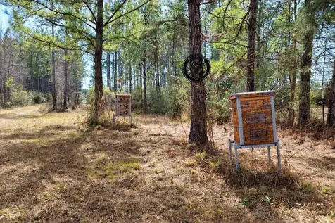60 Acres NW Clyatt Road Chiefland FL 32626
