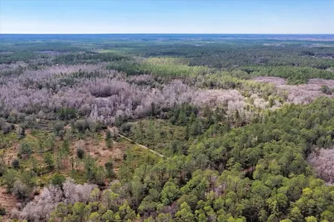 60 Acres NW Clyatt Road Chiefland FL 32626