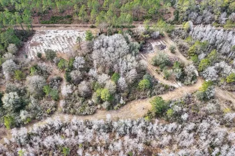 60 Acres NW Clyatt Road Chiefland FL 32626