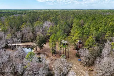 60 Acres NW Clyatt Road Chiefland FL 32626