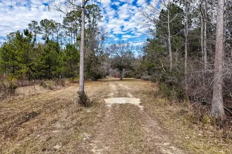 60 Acres NW Clyatt Road Chiefland FL 32626
