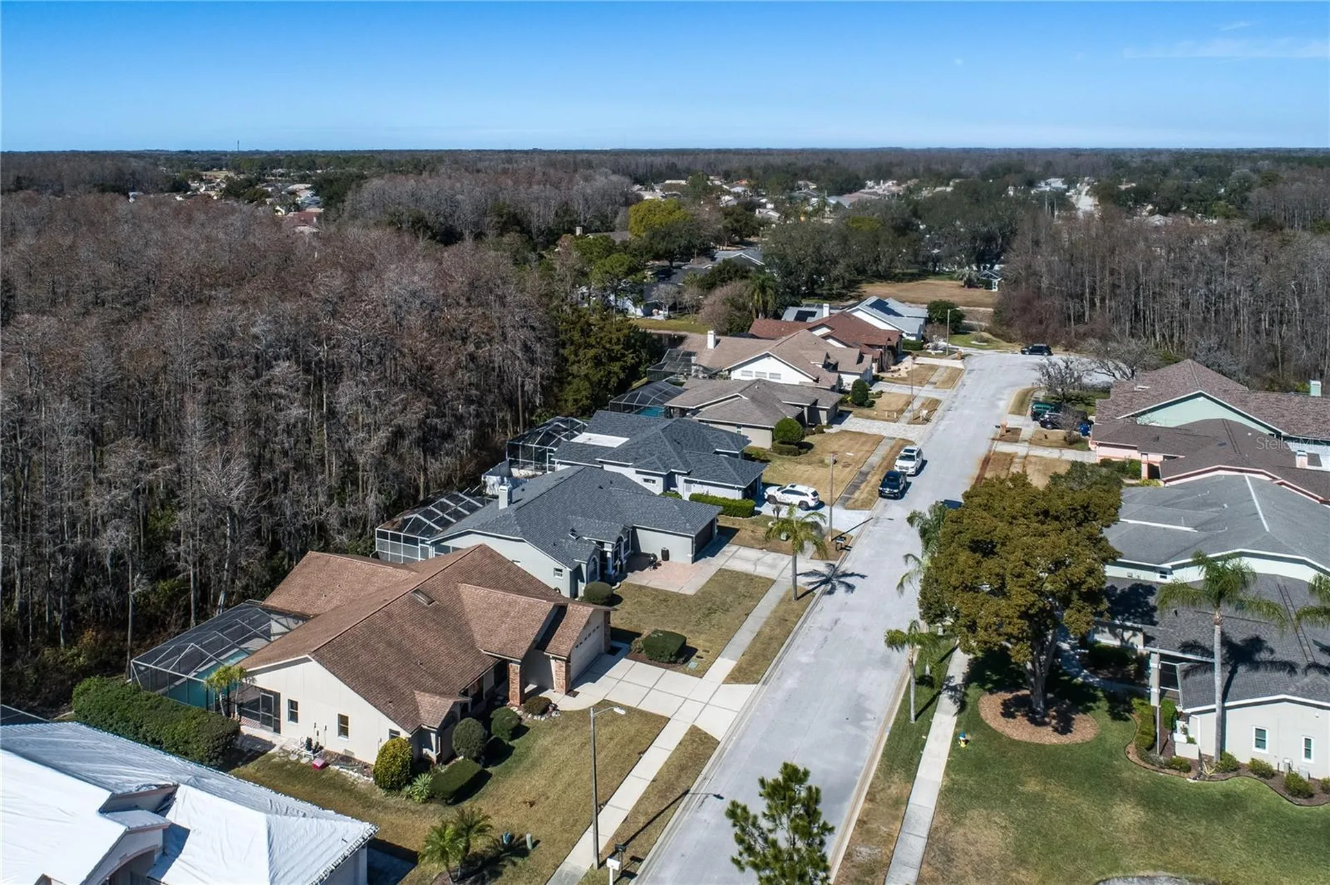 5045 Musselshell Drive New Port Richey FL 34655