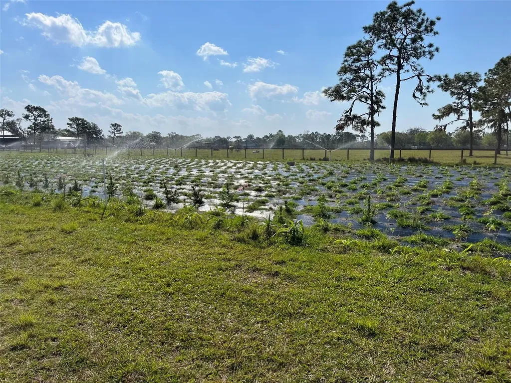 4625 241st Street E Myakka City FL 34251