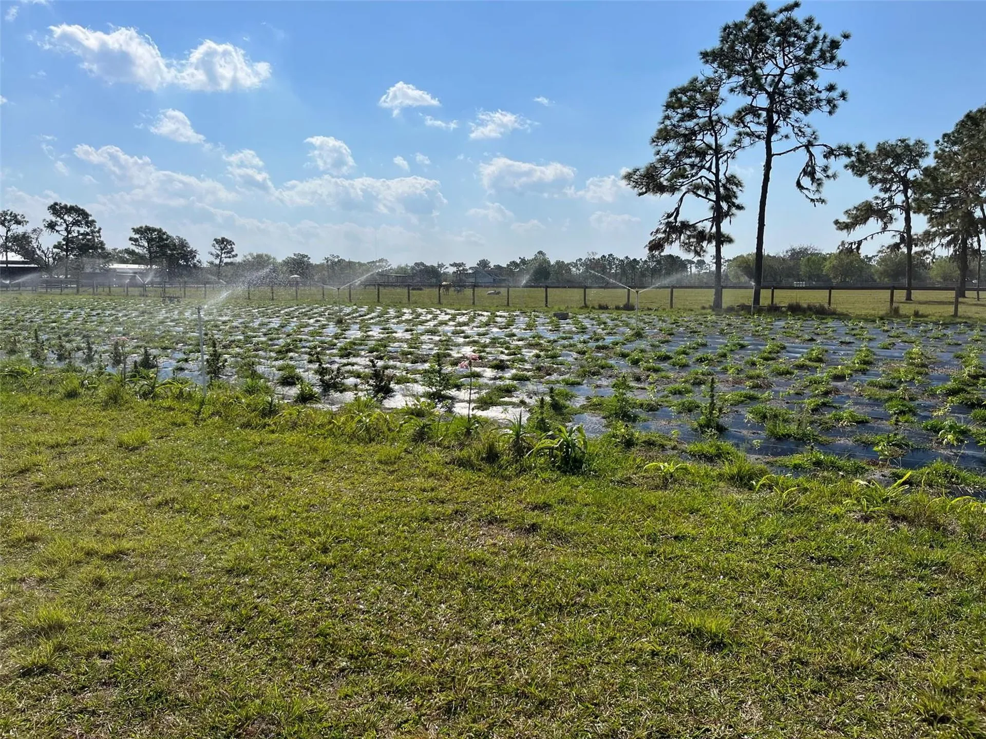 4625 241st Street E Myakka City FL 34251