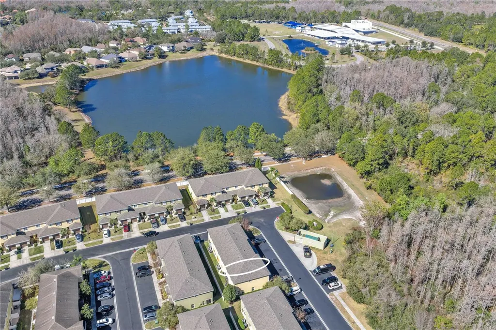 8509 Trail Wind Drive Tampa FL 33647