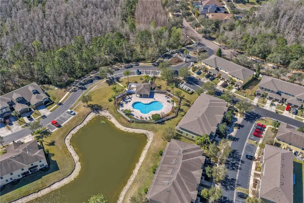 8509 Trail Wind Drive Tampa FL 33647