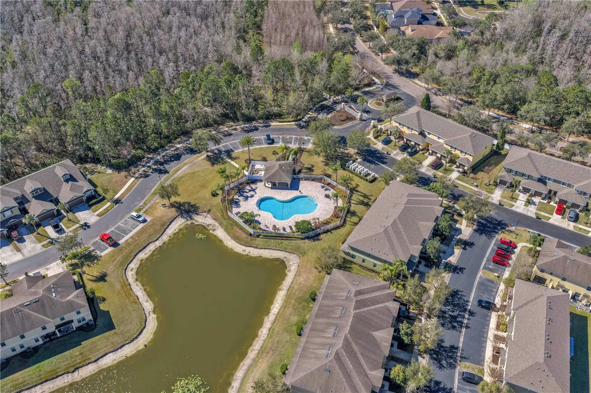 8509 Trail Wind Drive Tampa FL 33647
