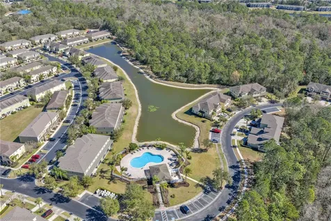 8509 Trail Wind Drive Tampa FL 33647