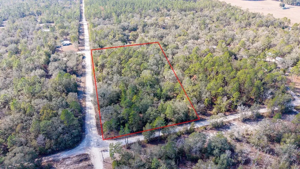 0000 NW 10th Avenue Bell FL 32619