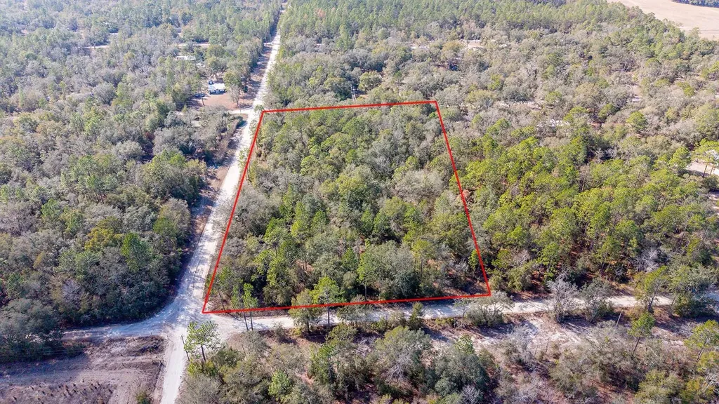 0000 NW 10th Avenue Bell FL 32619