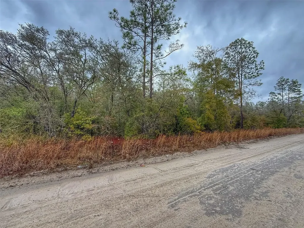 0000 NW 10th Avenue Bell FL 32619