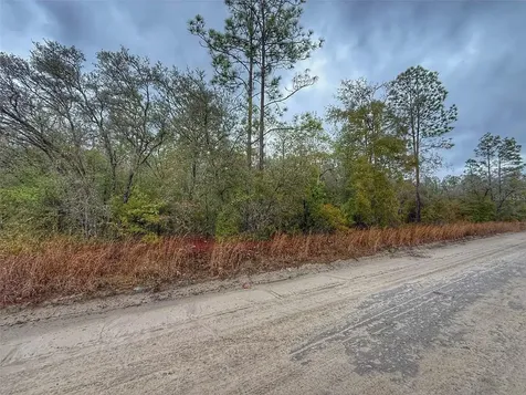 0000 NW 10th Avenue Bell FL 32619