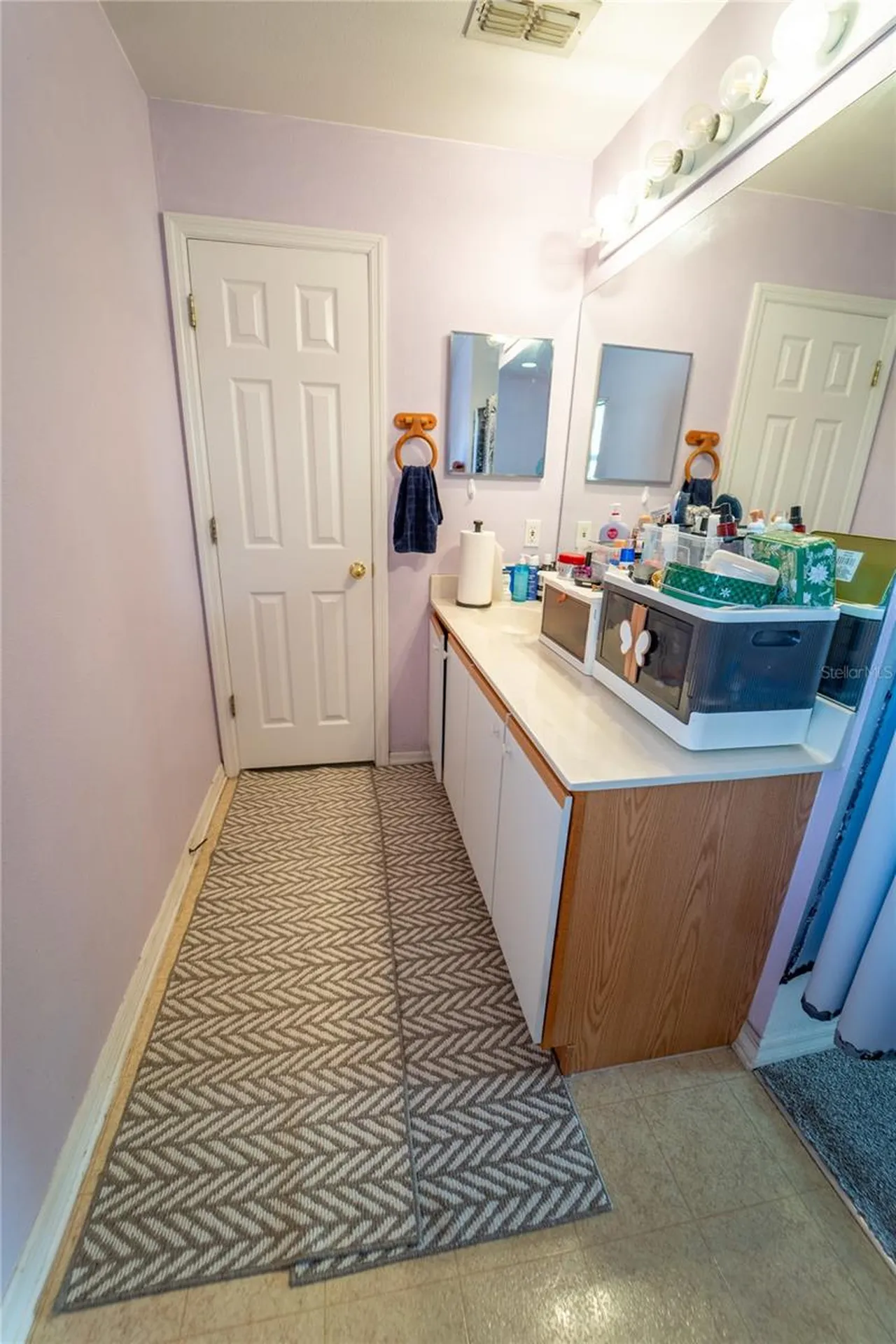 10529 Maronda Drive Riverview FL 33578