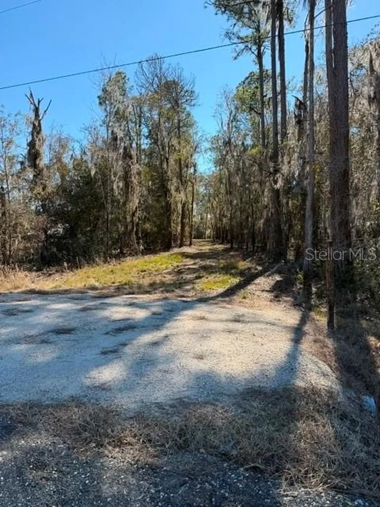 155TH Way Starke FL 32091