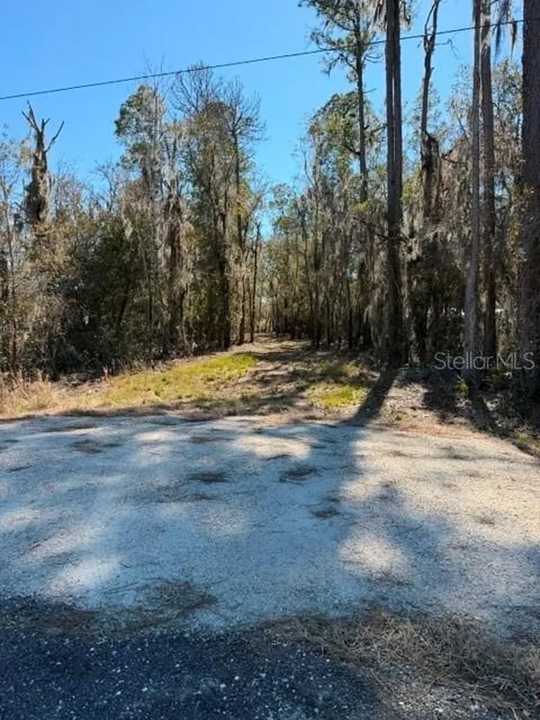 155TH Way Starke FL 32091