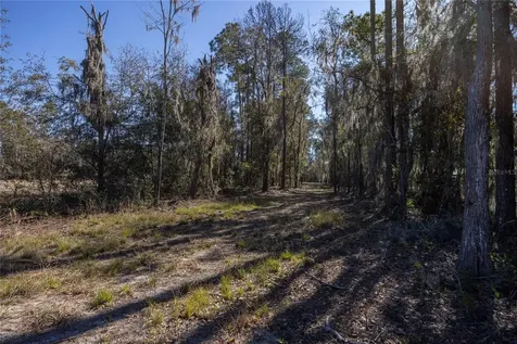 155TH Way Starke FL 32091
