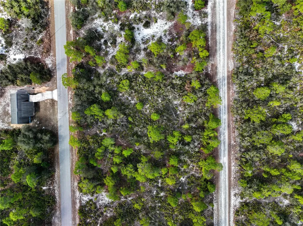 3262 Plover Avenue Lake Placid FL 33852