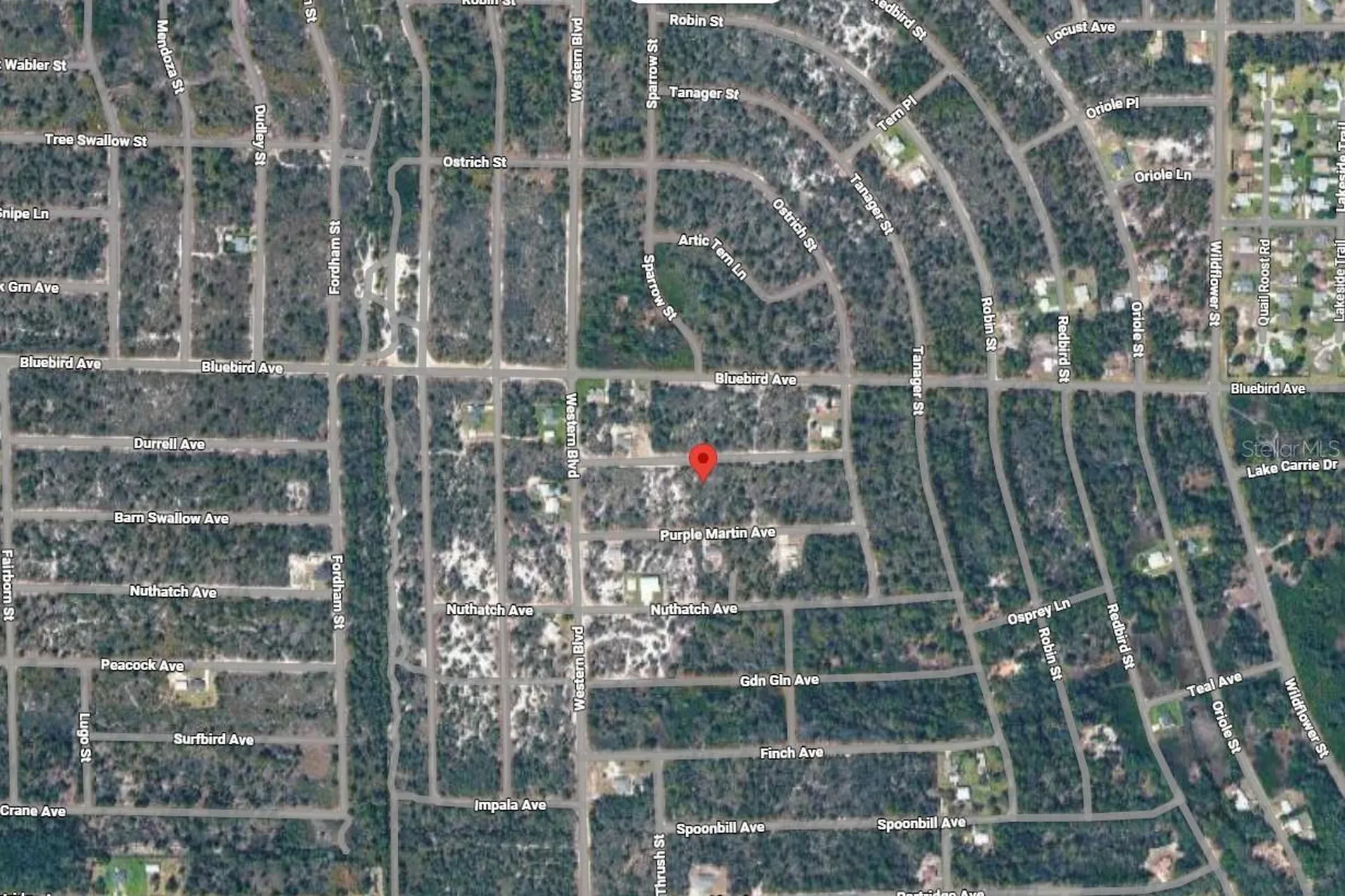 3262 Plover Avenue Lake Placid FL 33852