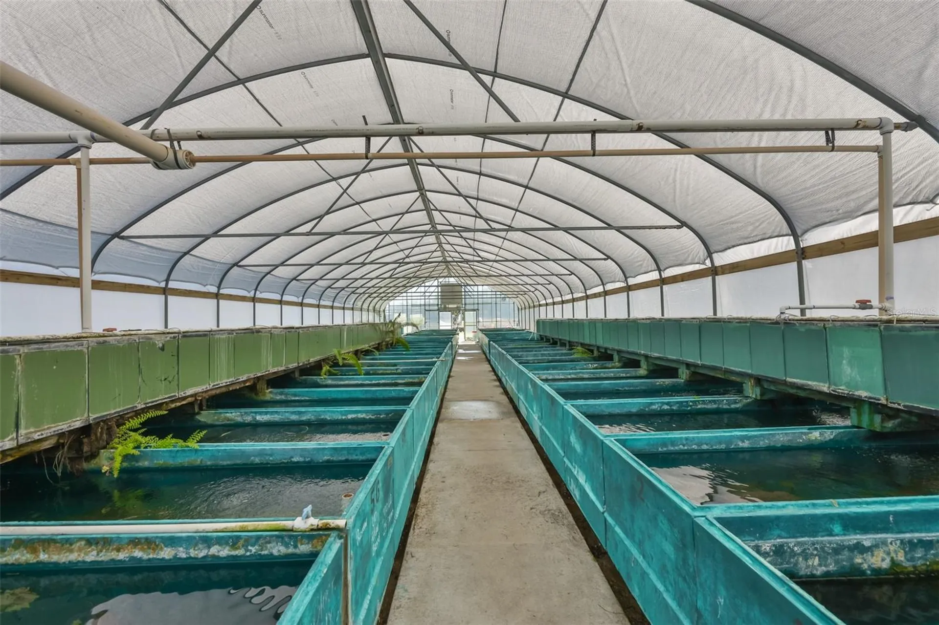20112 Hobbs Road Wimauma FL 33598