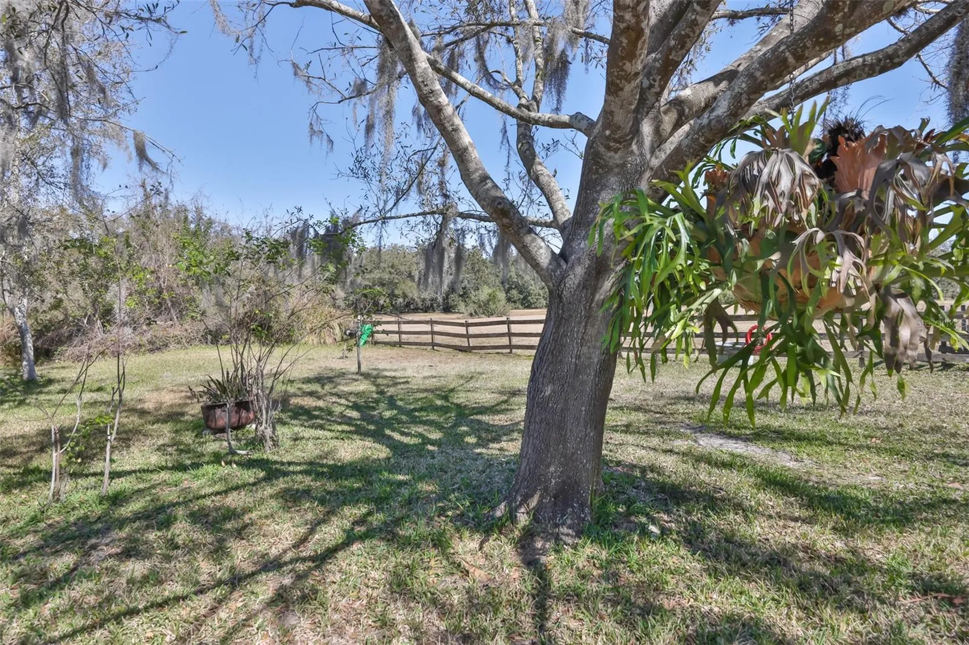 20112 Hobbs Road Wimauma FL 33598