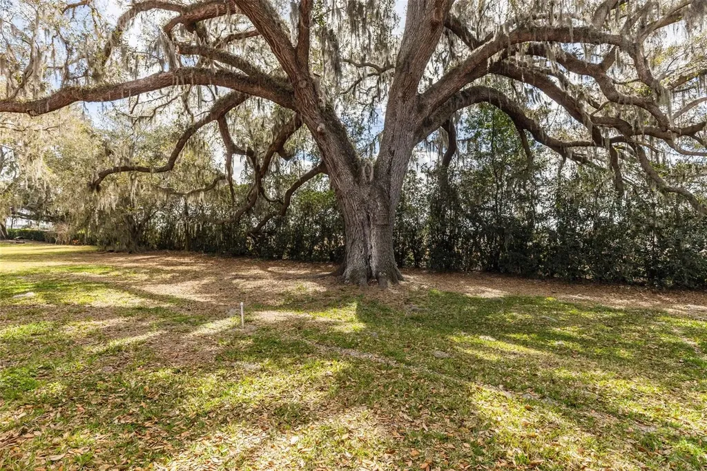 32834 Estate Garden Drive Wesley Chapel FL 33545