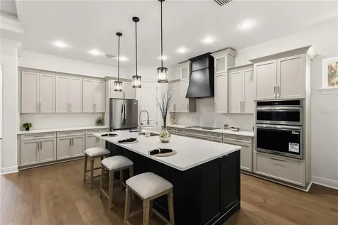32834 Estate Garden Drive Wesley Chapel FL 33545