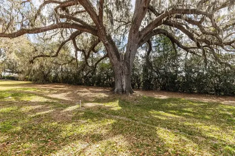 32834 Estate Garden Drive Wesley Chapel FL 33545