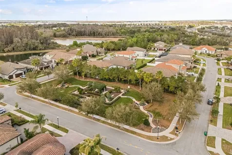 32834 Estate Garden Drive Wesley Chapel FL 33545