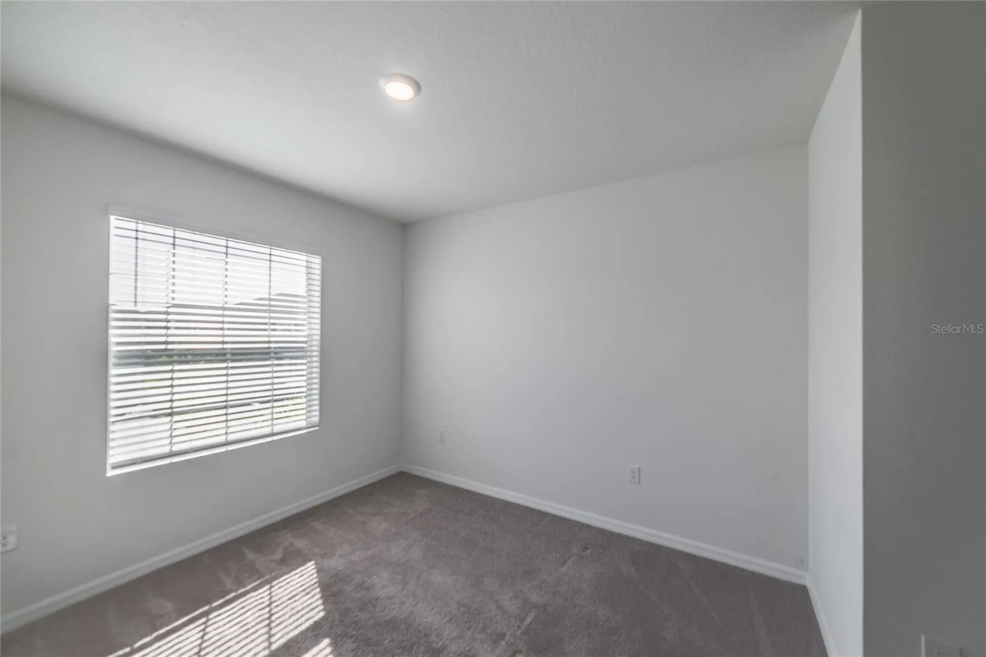2943 Beluga Bay Drive Odessa FL 33556