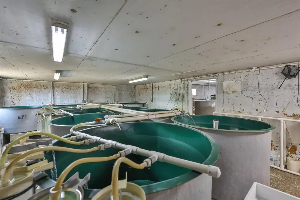 20112 Hobbs Road Wimauma FL 33598