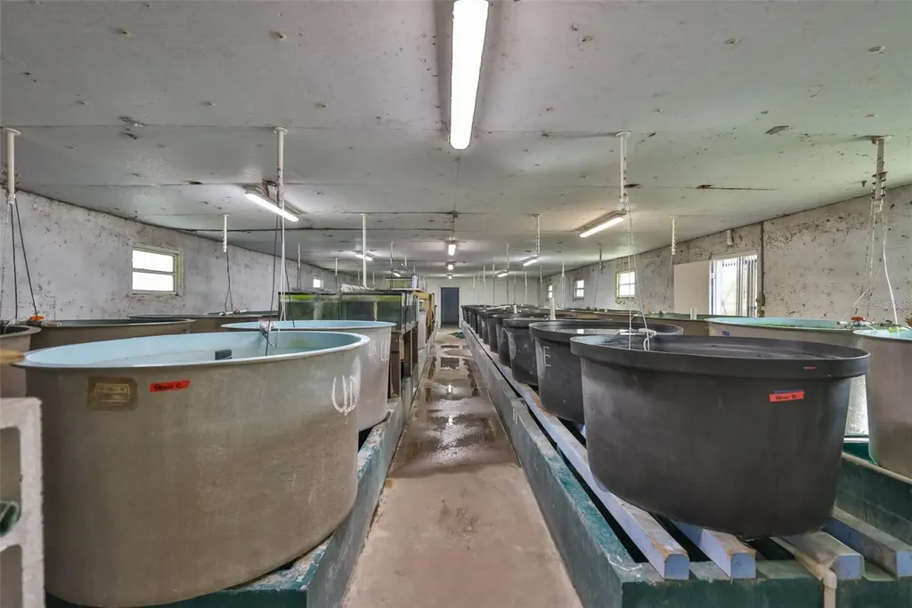 20112 Hobbs Road Wimauma FL 33598