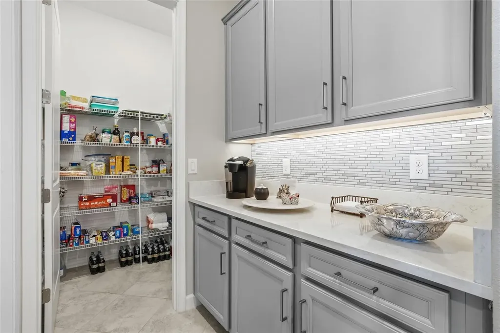 31510 Cabana Rye Avenue San Antonio FL 33576