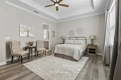 31510 Cabana Rye Avenue San Antonio FL 33576