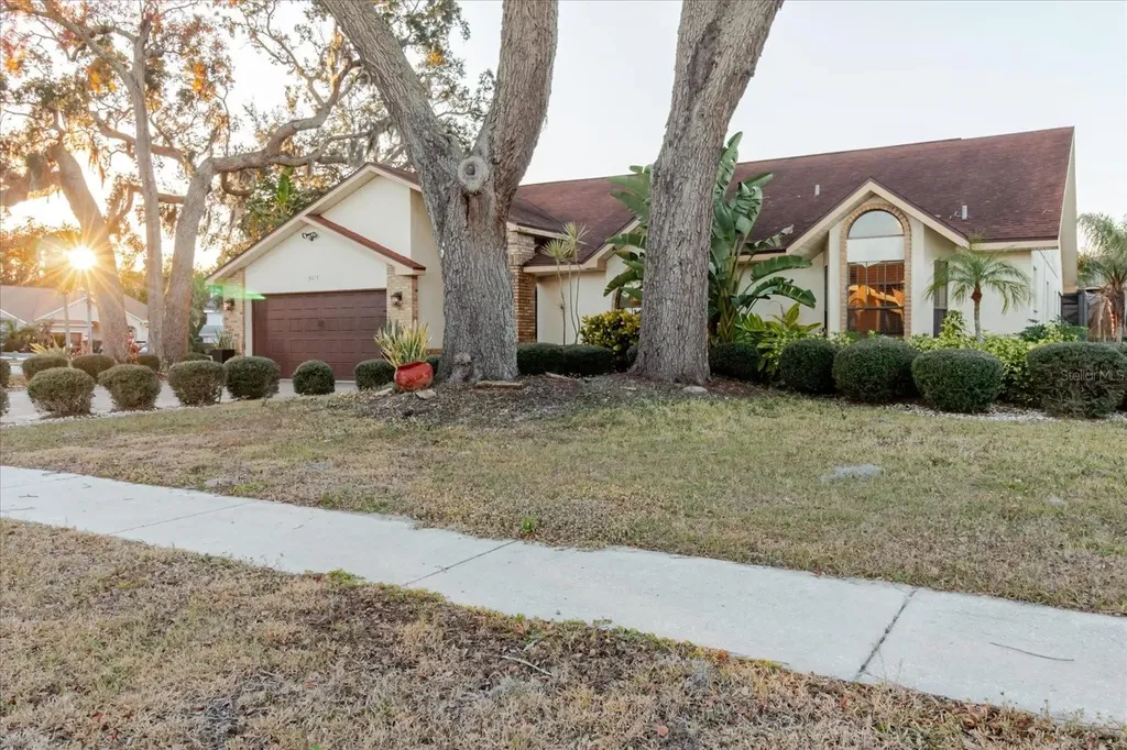 5617 Fieldspring Avenue New Port Richey FL 34655