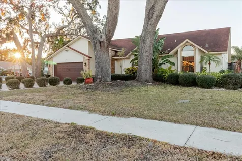 5617 Fieldspring Avenue New Port Richey FL 34655