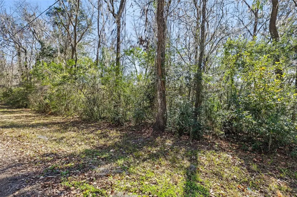 23126 Fitzhugh Avenue Brooksville FL 34601
